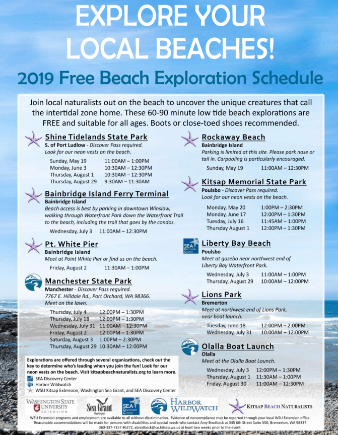 Screen Shot 2019-06-06 at 9.02.02 AM