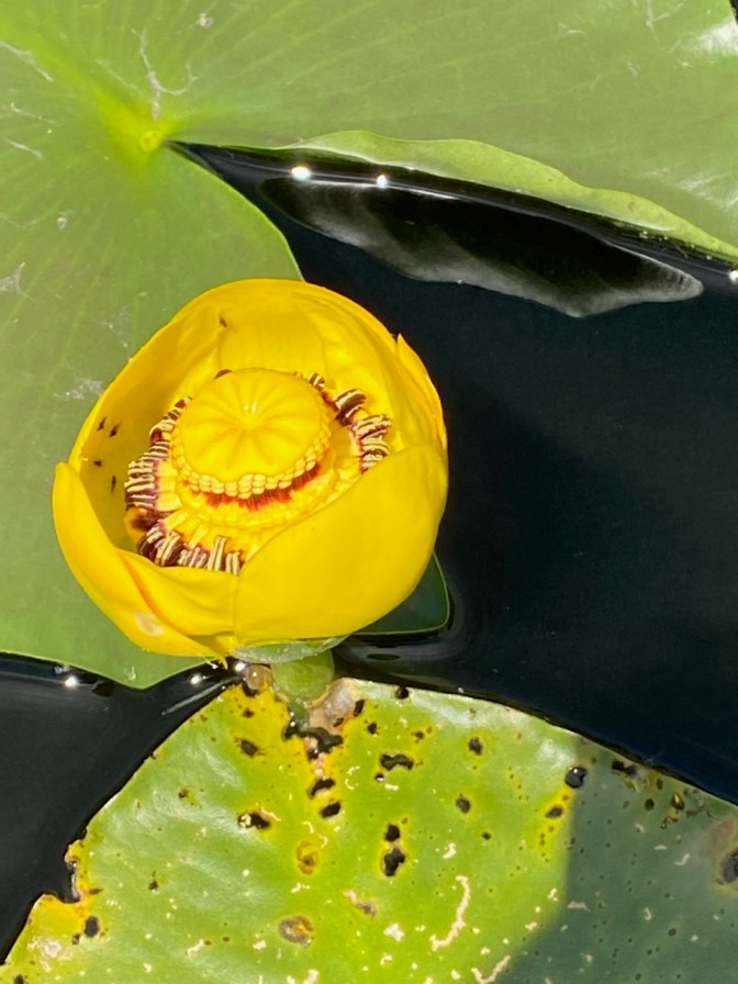 -8888066413168246400